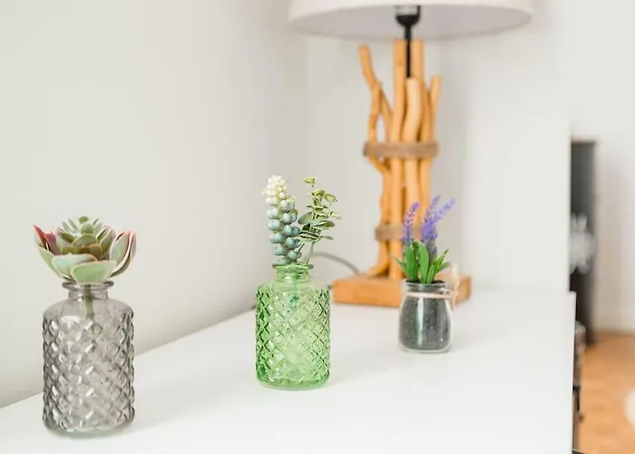 Le Terminus 公寓 *